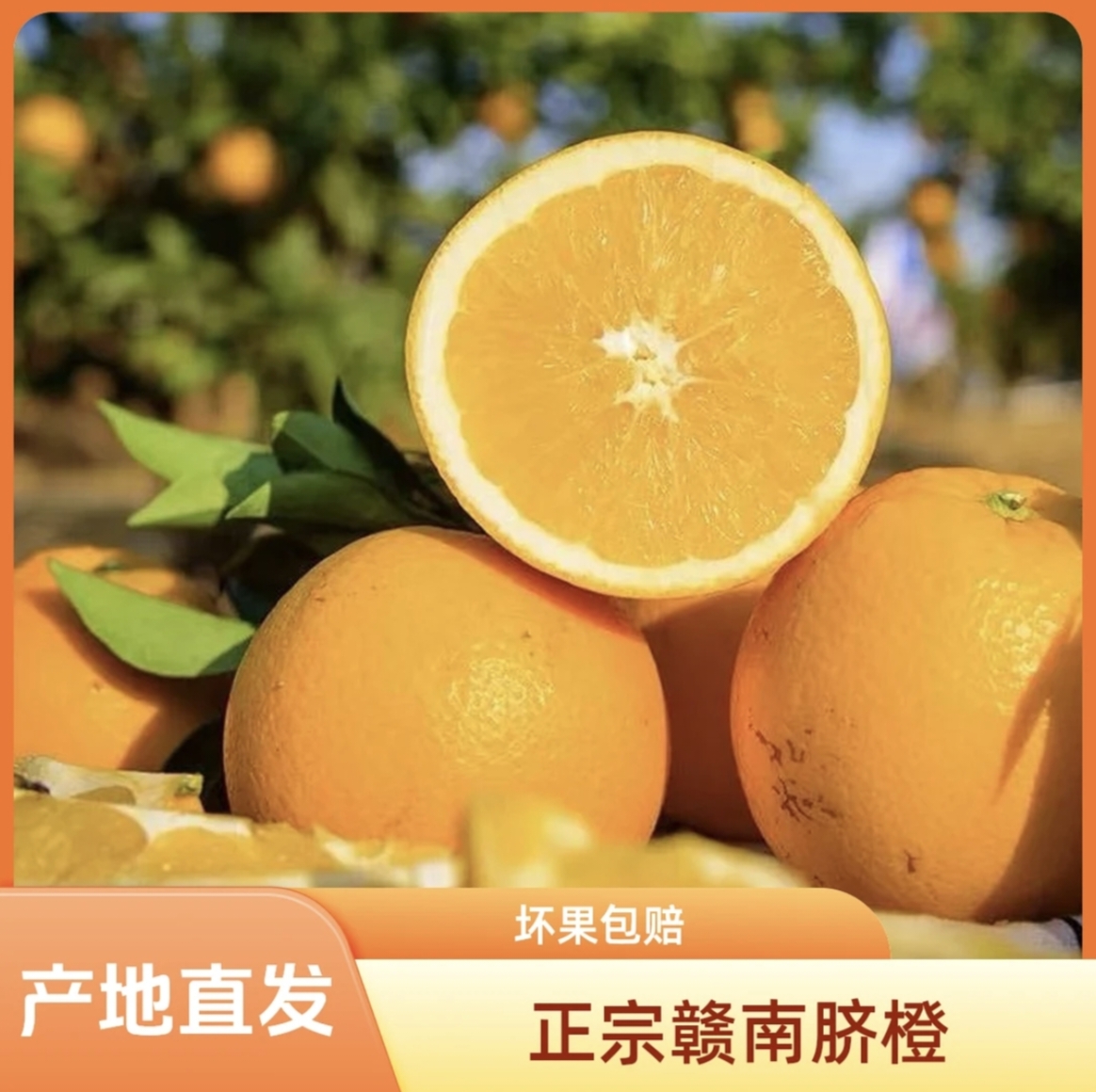 【小鹿优选】正宗赣南脐橙新鲜采摘香甜多汁应季水果现摘现发