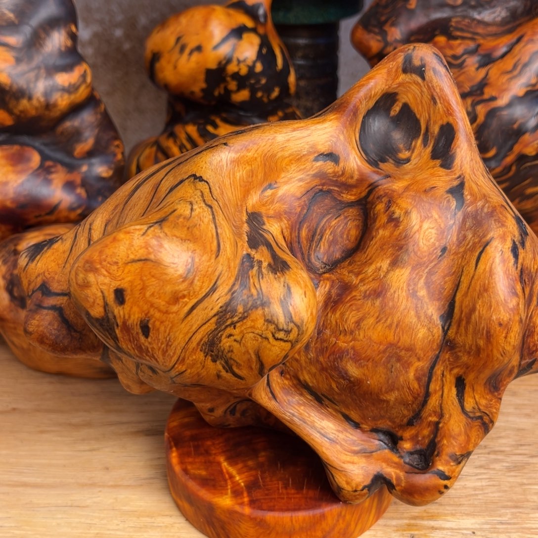 无事牌松木（琥珀木）微瑕