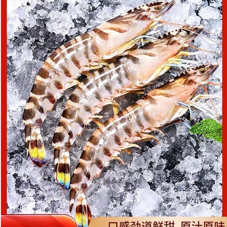 野生海捕斑节虾/九节虾/花虾（一斤40-50只左右）鲜货速冻发顺丰2斤