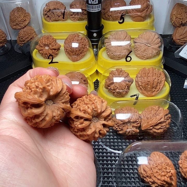 42深凹底龙门涧        三角桩