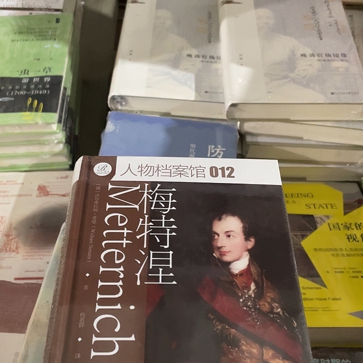梅特涅微瑕微瑕.2