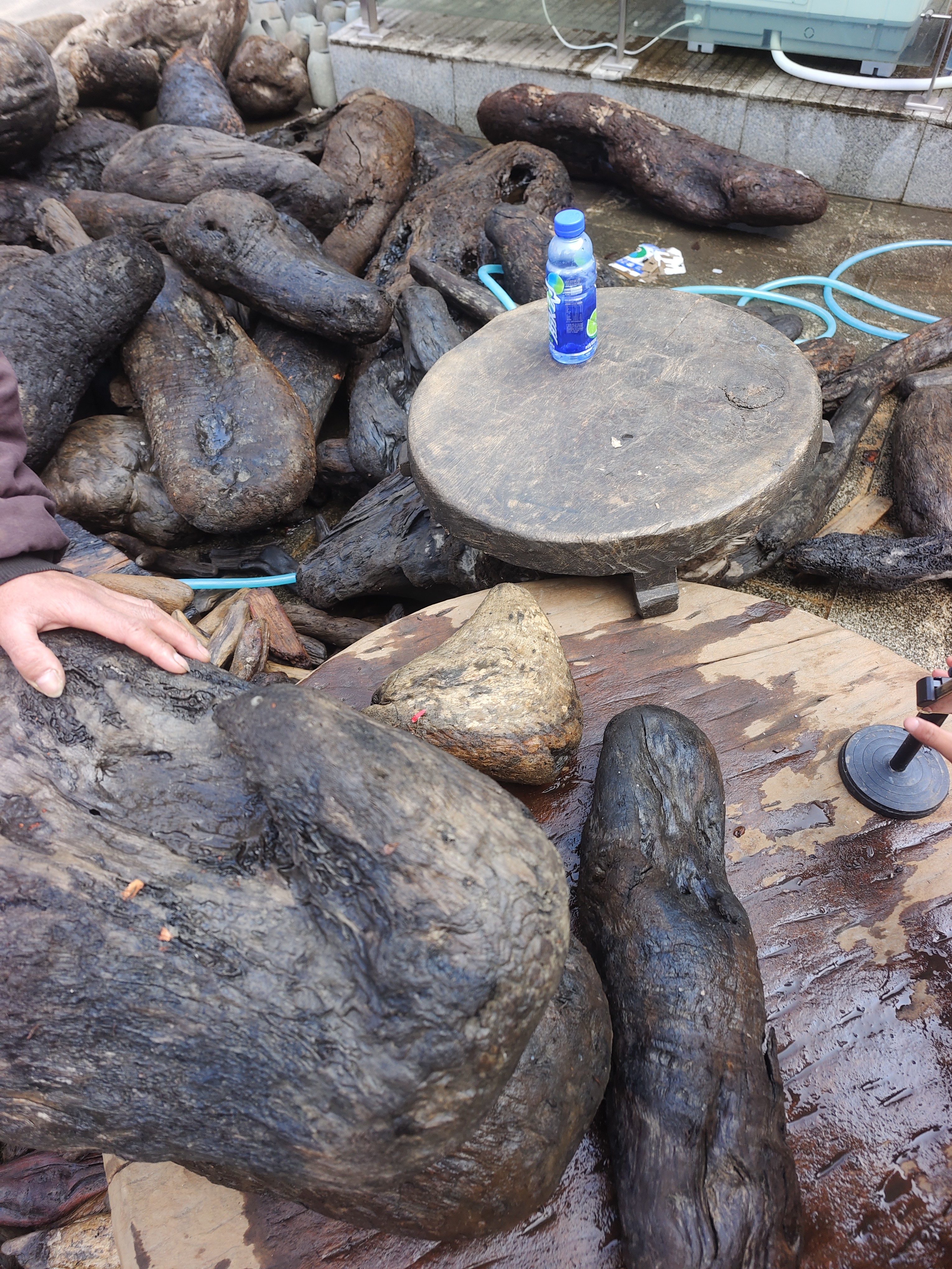 民间使用的漂流木