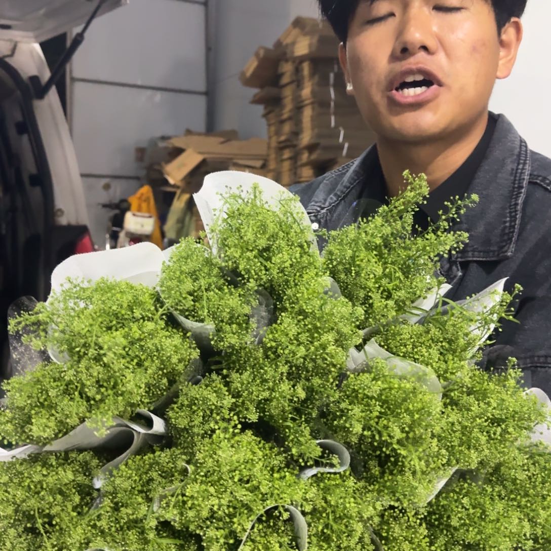 绿灵草4扎包邮价秒杀