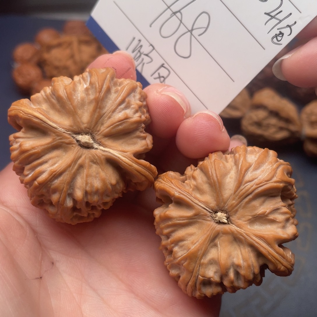 文玩核桃把件l*I白狮子41