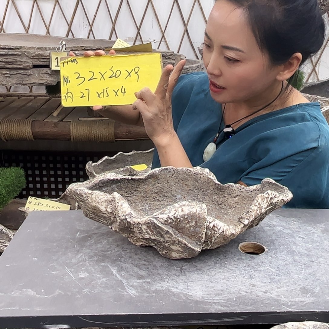 盆景盆盆景盆P1-005