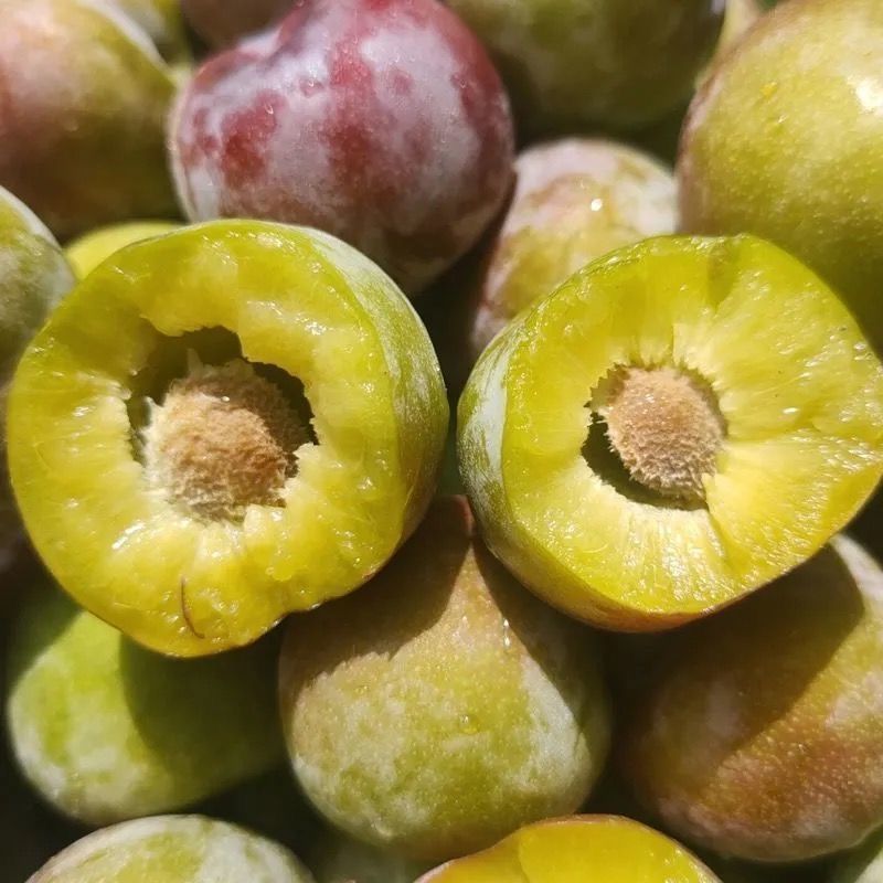 正宗四川半边红脱骨李新鲜水果半边红茵红李青红脆李非蜂糖李