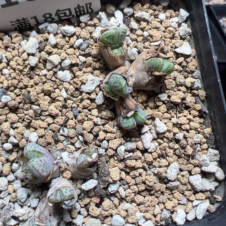 【闪购商品】1077……