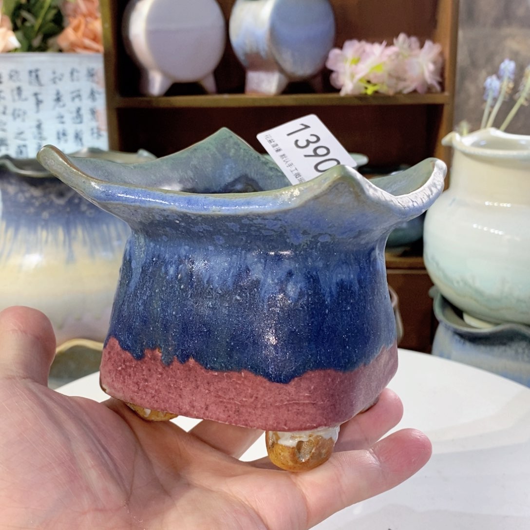 花盆花盆花盆花盆