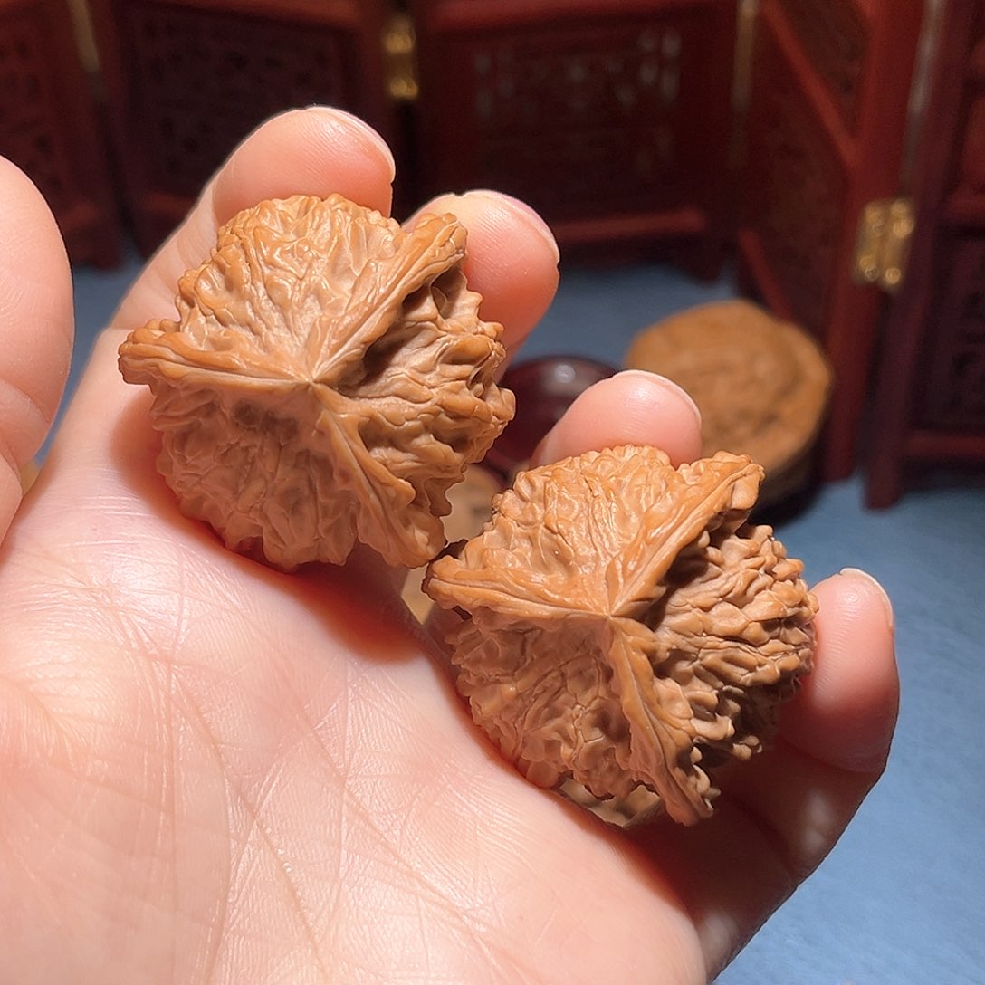 38全品盘山正奔……精品