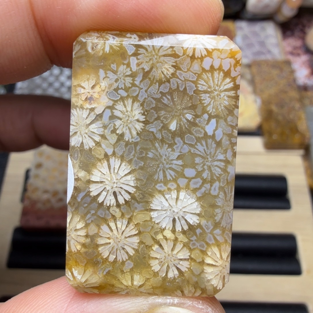 硅化玉未镶嵌纯天然色有机玉石保真色