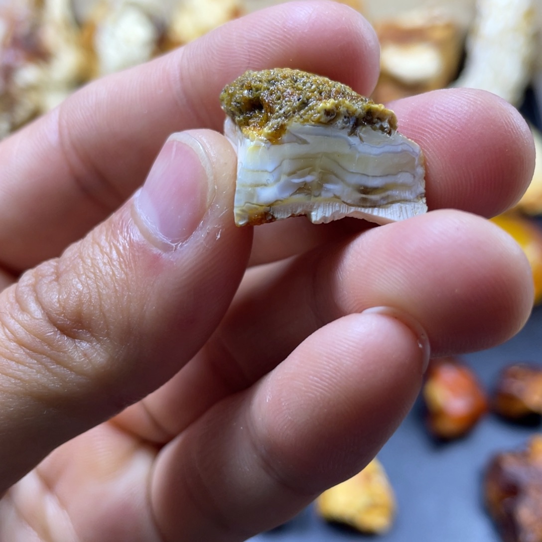 定制琥珀未镶嵌定制