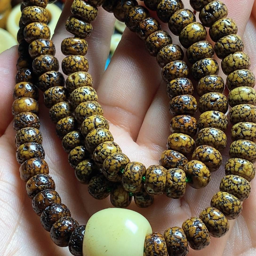 贝壳手串/手链……………………………………