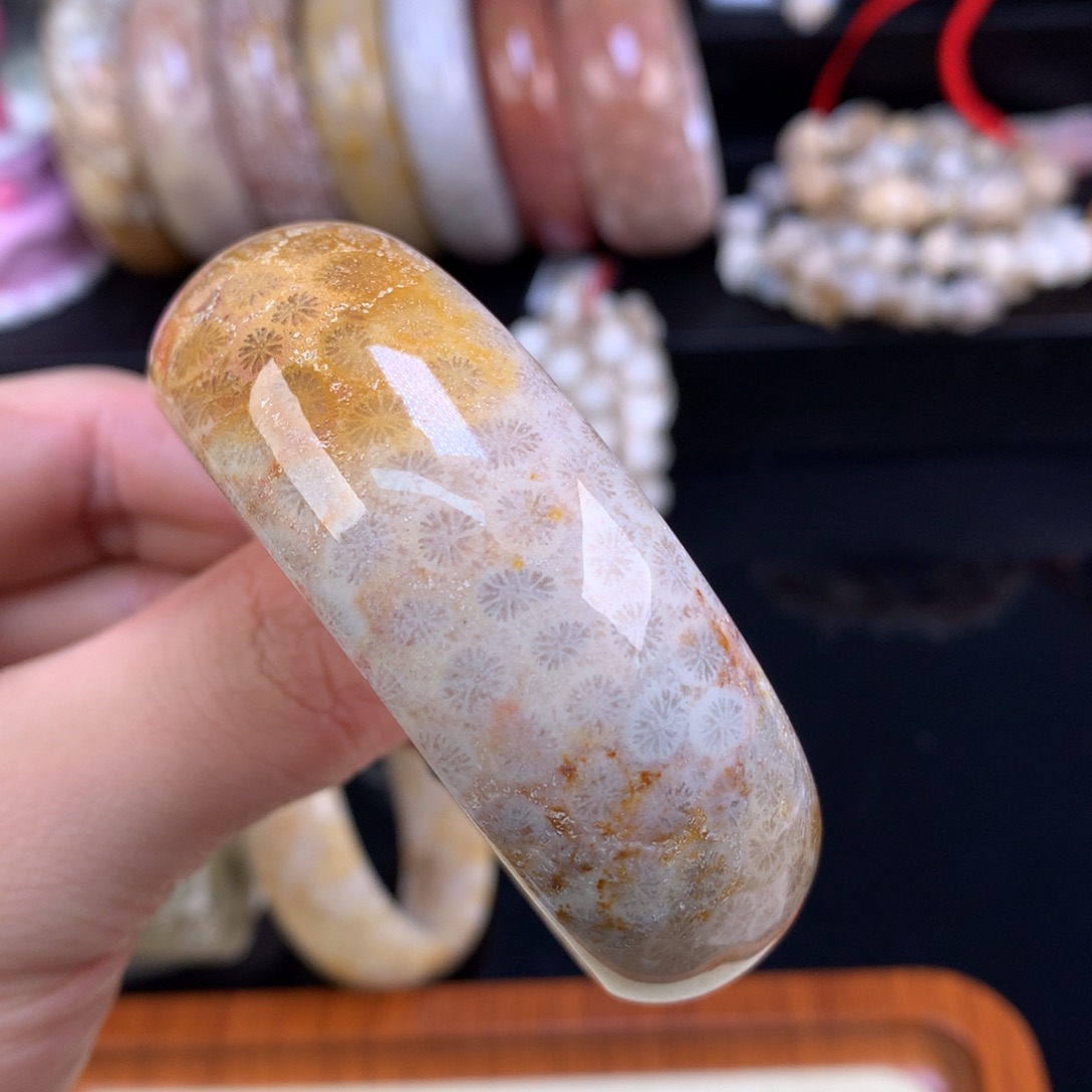 硅化珊瑚（珊瑚玉）未镶嵌颈饰92号沙沙雏菊54圈