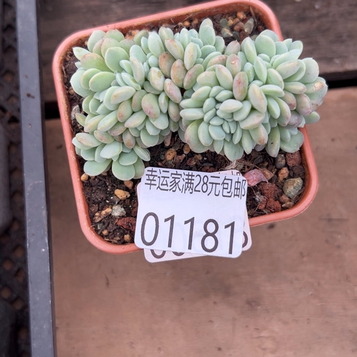 幸运的是我还没遇到过