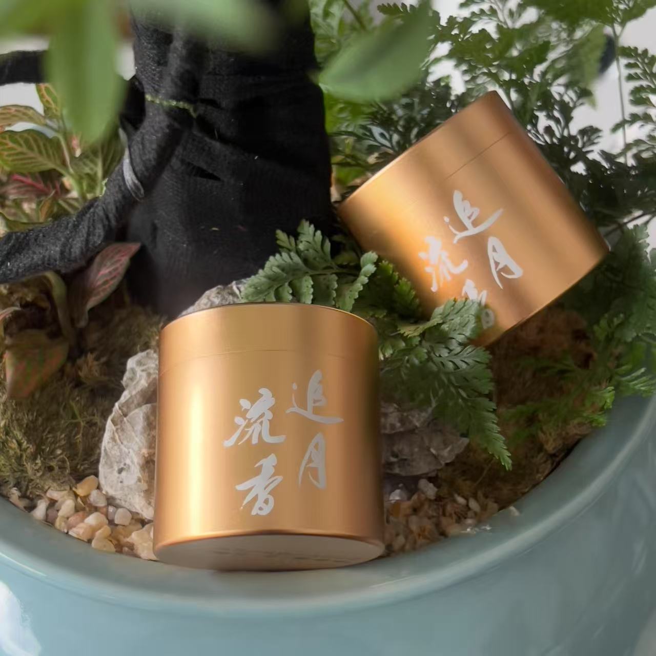 凯捷流香追月 武夷岩茶 流香涧天花板肉桂（2泡）(拍4单发整盒)