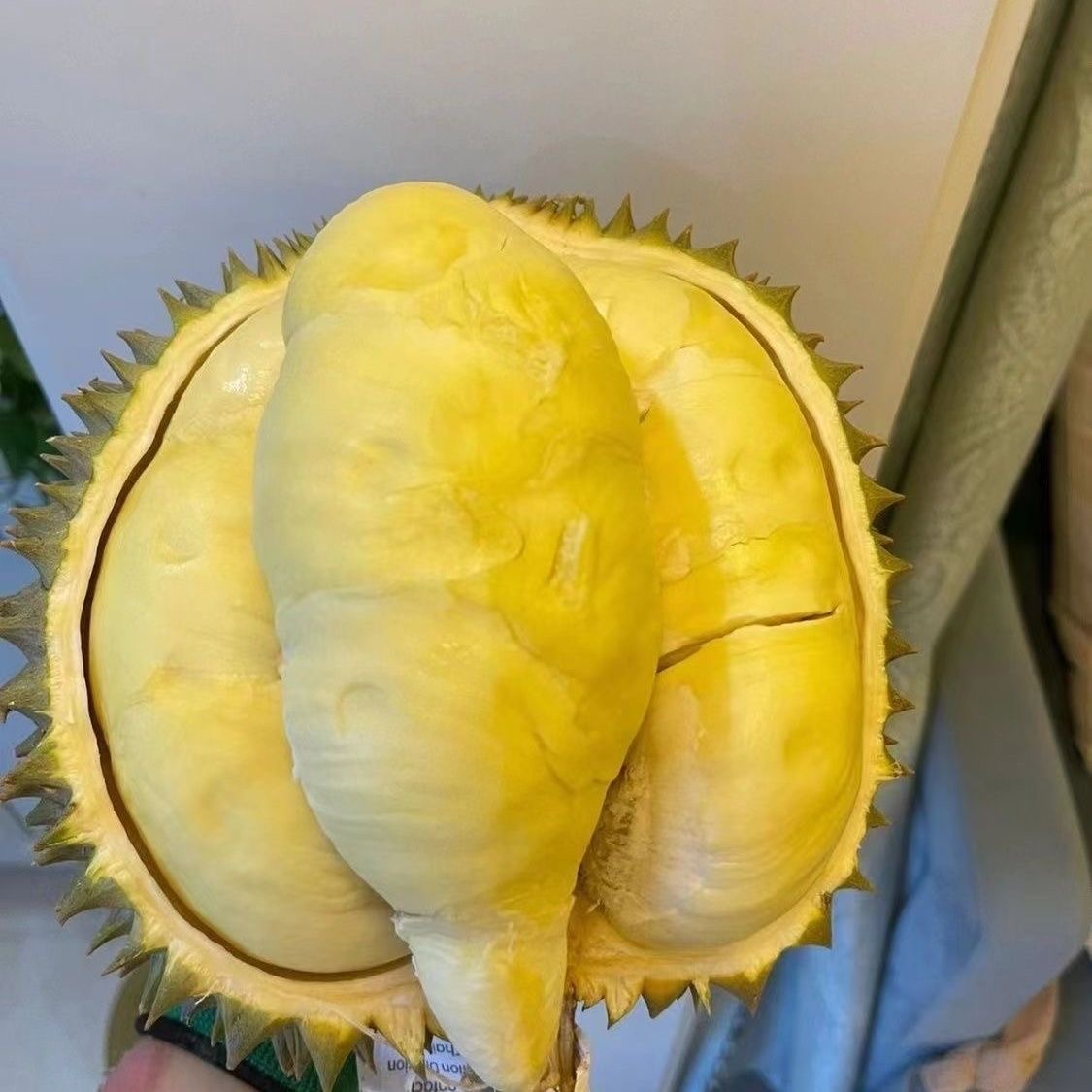 新鲜金枕巴掌榴莲100核小0克起金枕泰国