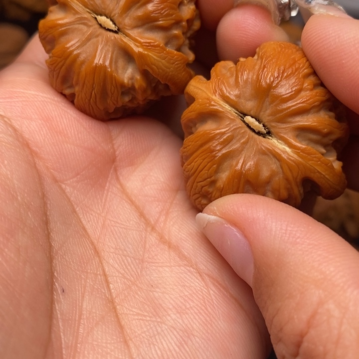 秦岭野生文玩核桃38