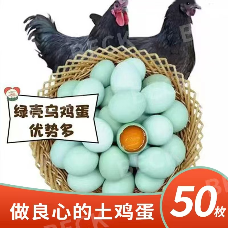 50枚绿壳乌鸡蛋农家散养土鸡蛋百亩果园林下散养新鲜蛋