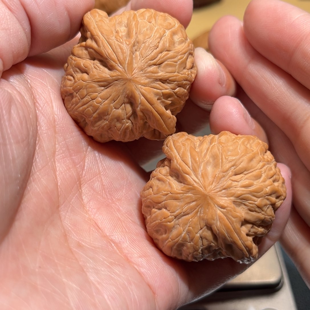 文玩核桃把件铁锤39