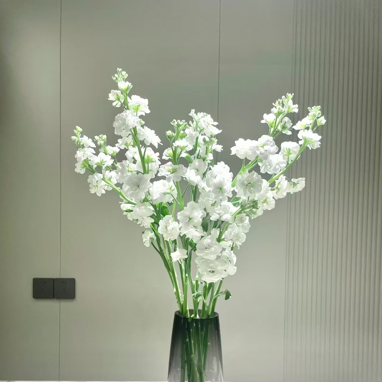 10枝白色紫罗兰 浓香型花材【两单顺丰冷链或京东快递】