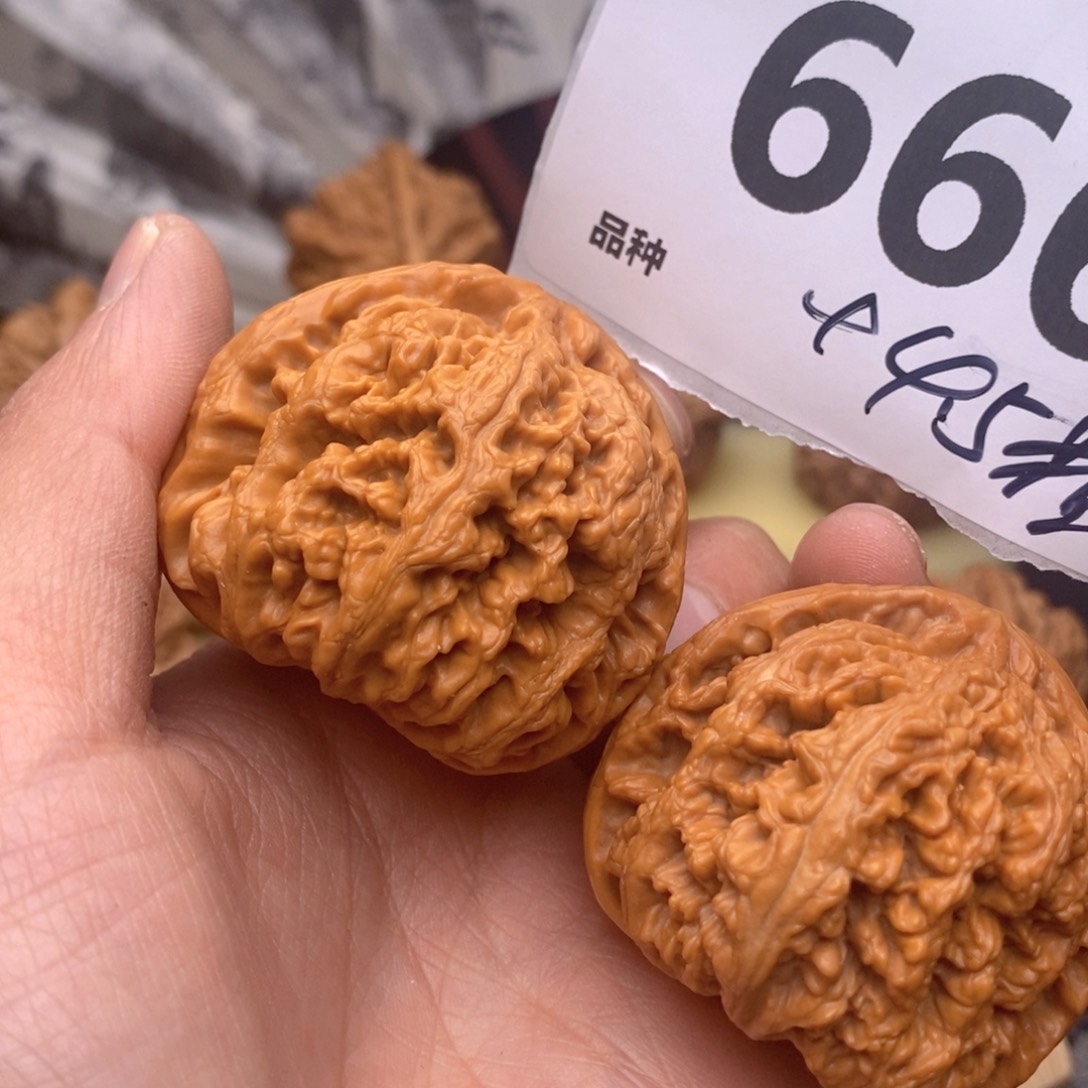 文玩核桃把件666号44.5粗姐