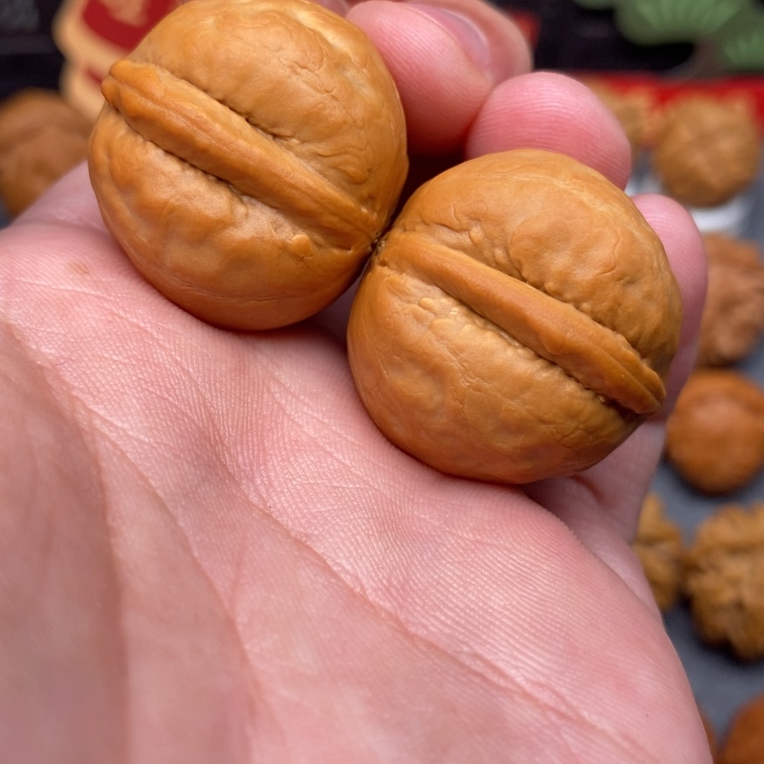 文玩核桃把件小海豚