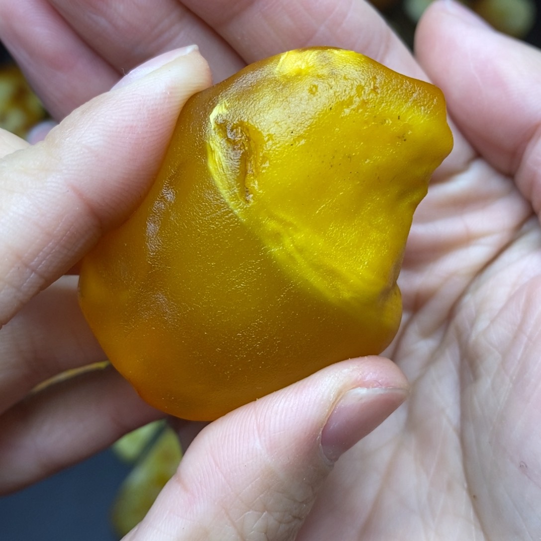 未镶嵌定制蜜蜡马*沂胖