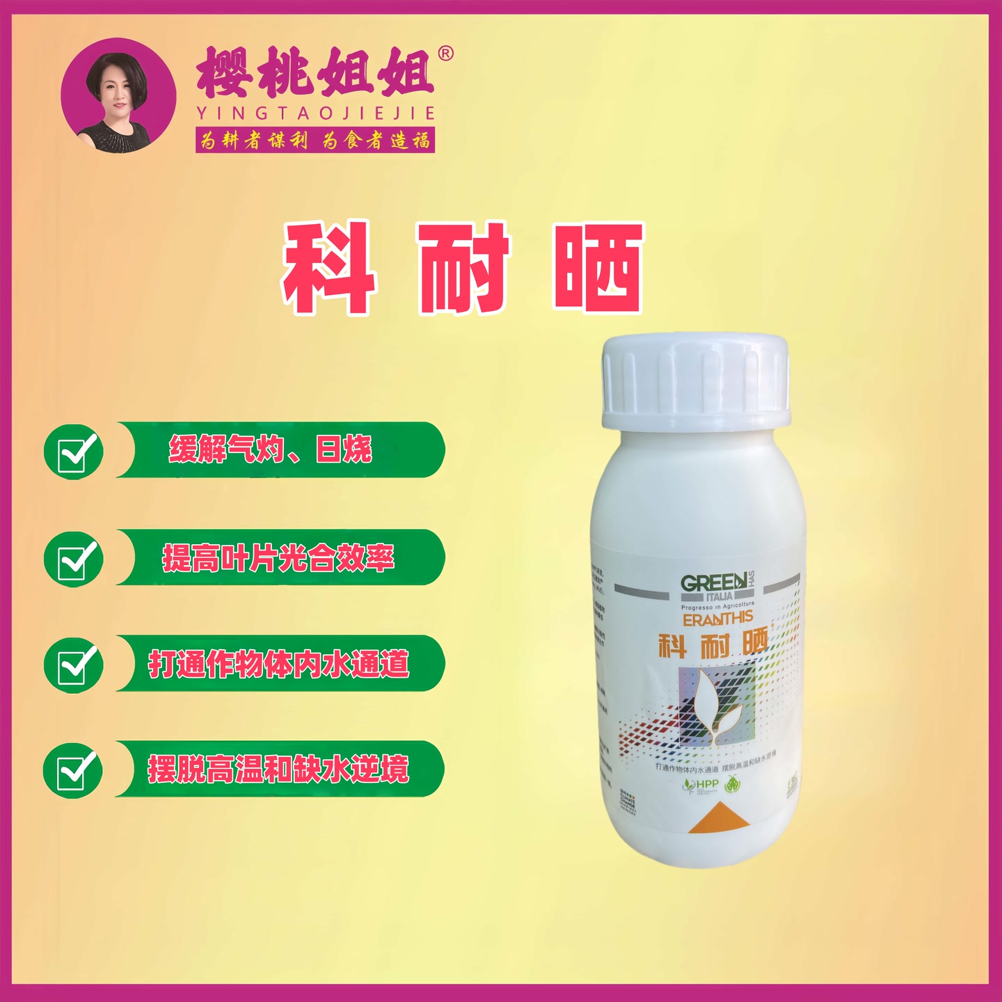 科耐晒 打通作物体内水通道 摆脱高温和缺水逆境