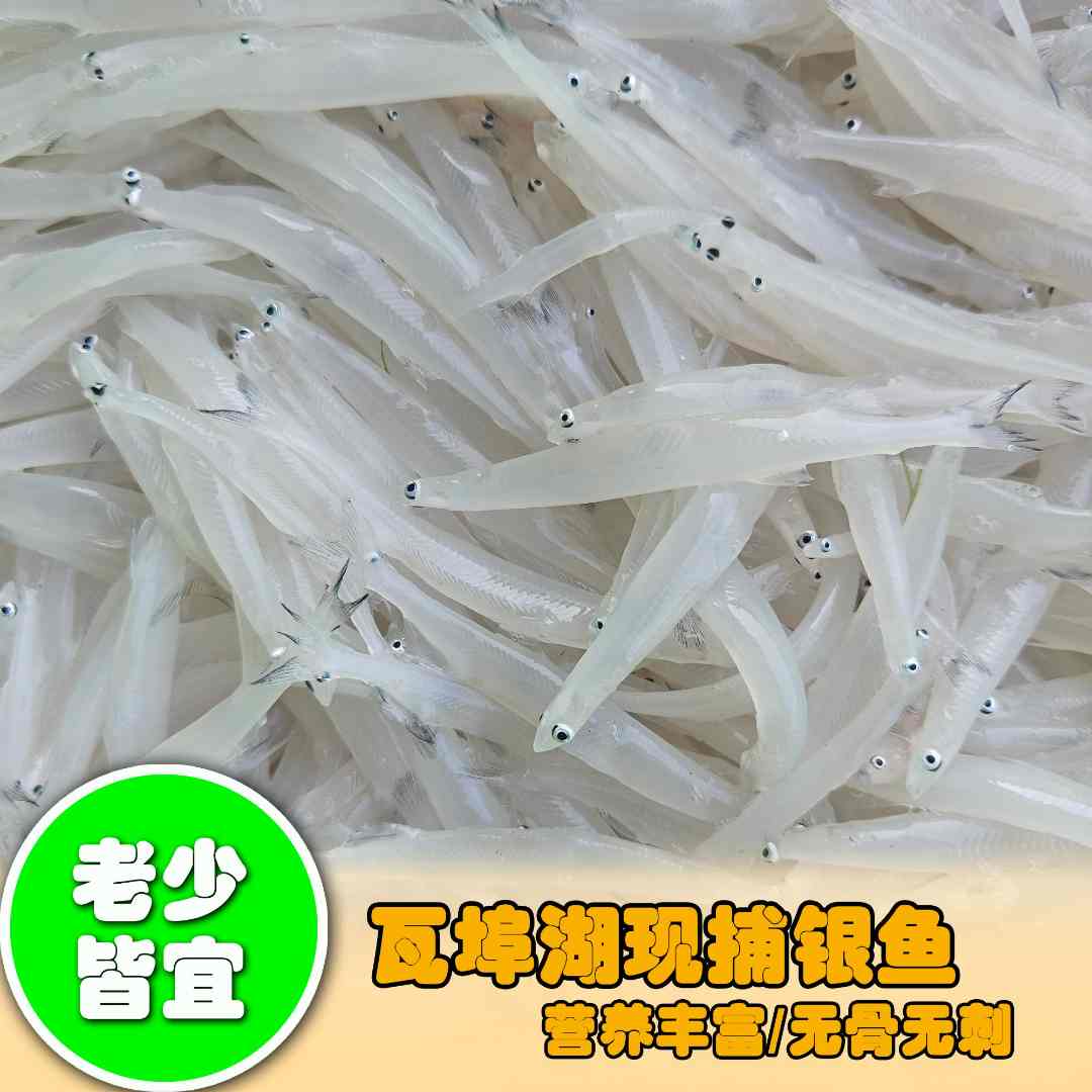 淡水鲜银鱼 鲜活细嫩无刺无骨高蛋白高营养