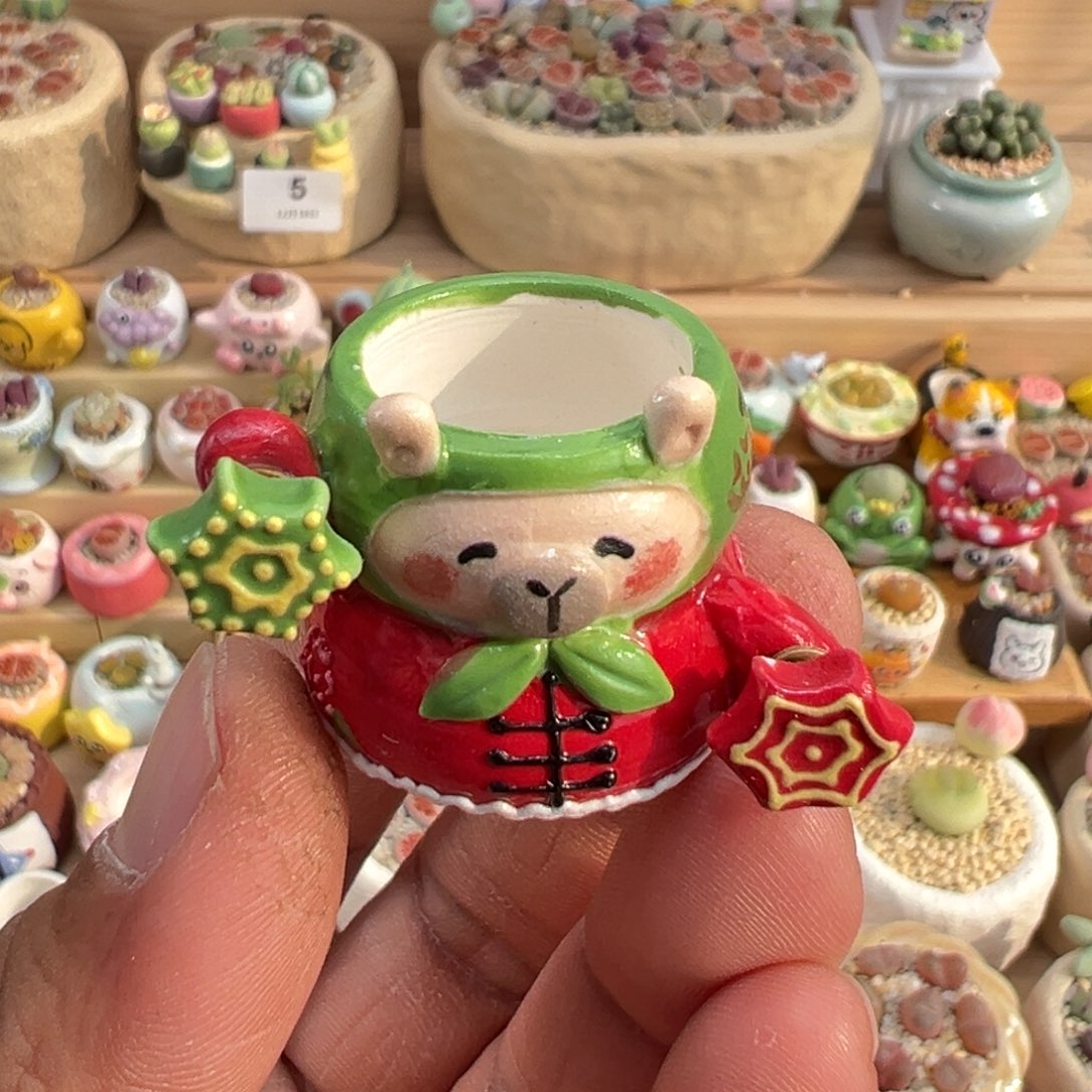 小***宝多肉植物10号种2个海葱带盆