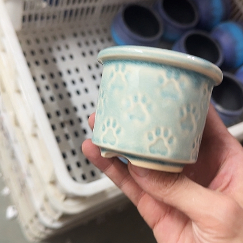 ····全是福利····