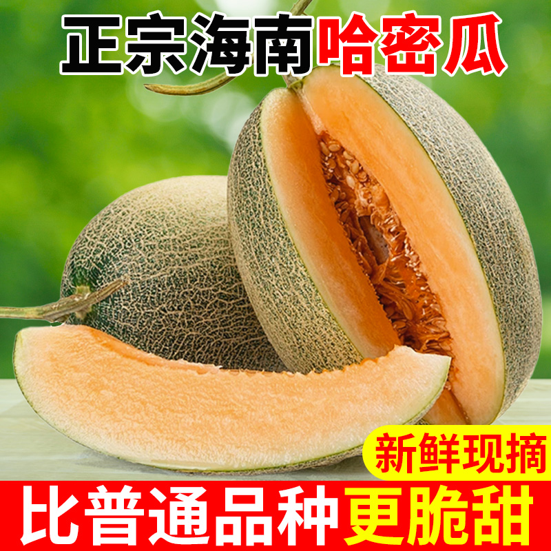 2025正宗海南沙地哈密瓜沙漠蜜瓜脆甜瓜网纹新鲜多汁