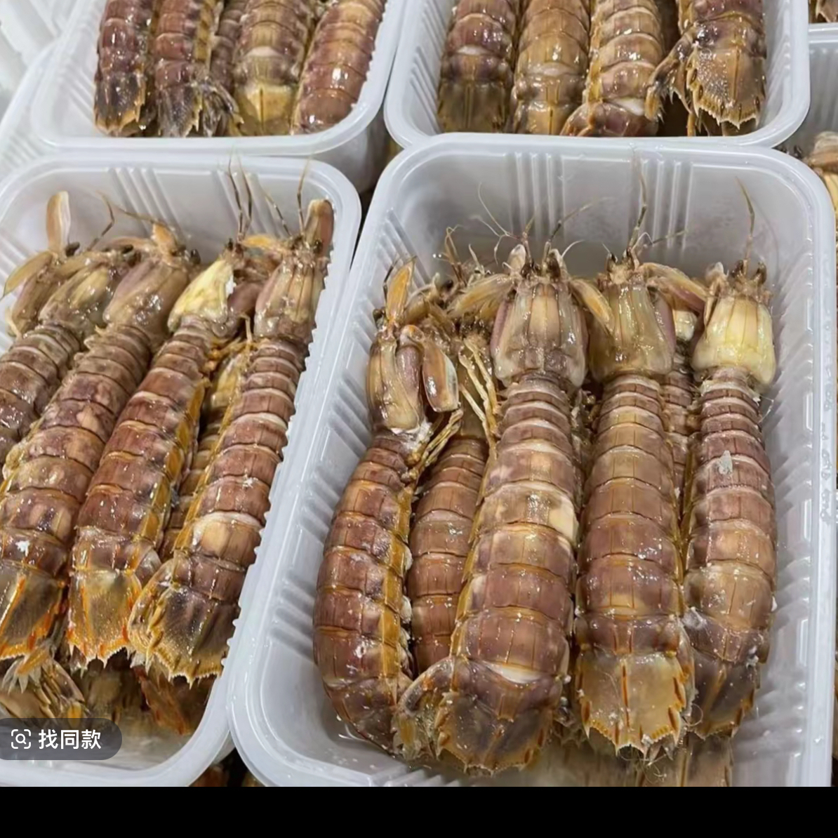 中小号虾爬子3斤重