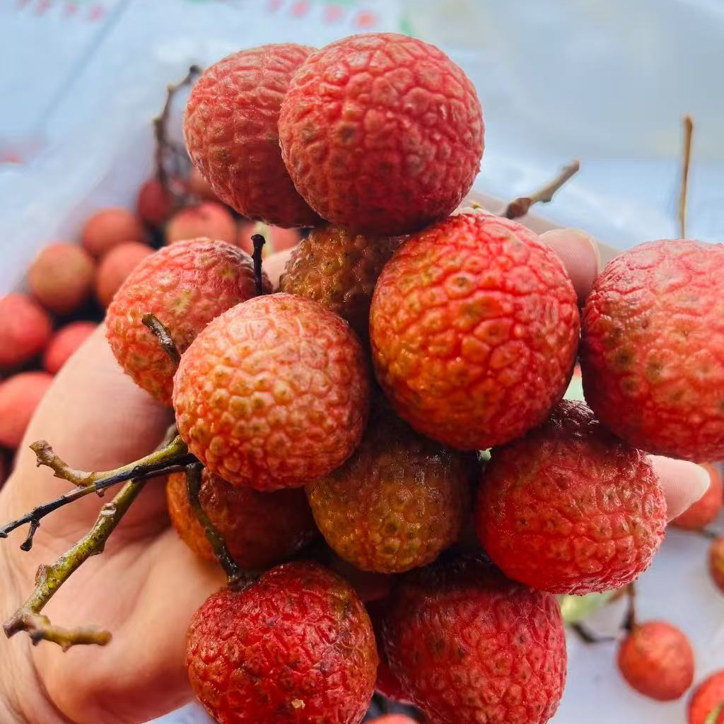 利客来白糖罂纯甜肉嫩3斤装。纯甜肉嫩荔枝同城送北京市