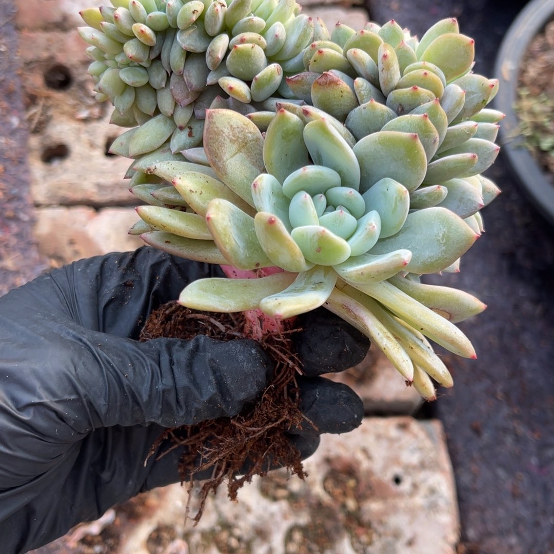 148889。 999。   9988