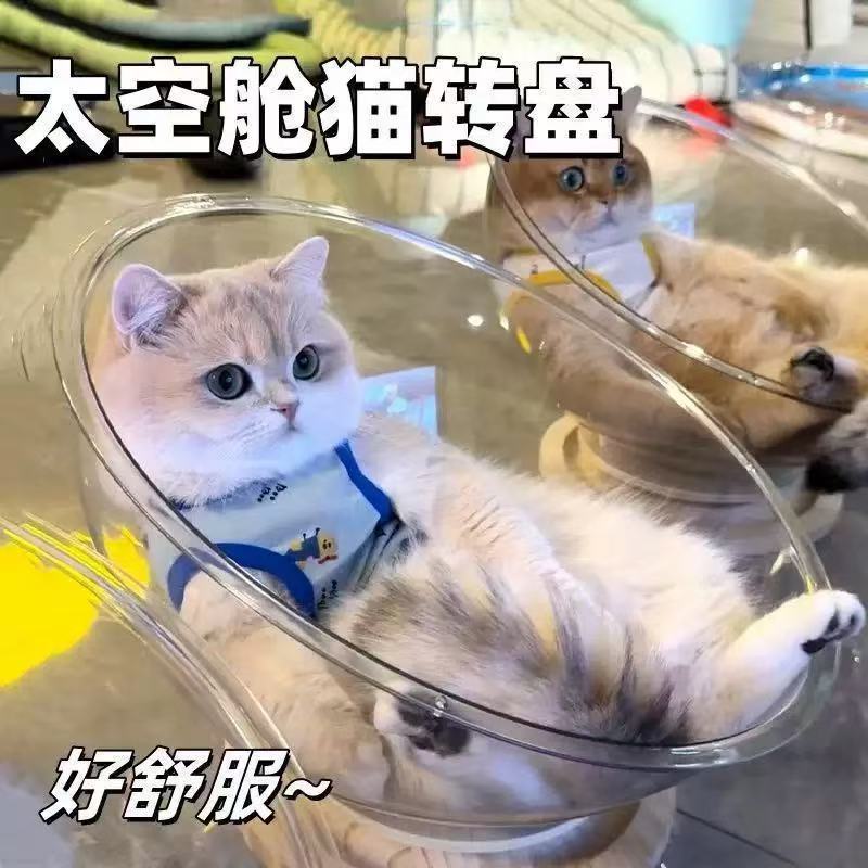 太空舱猫窝冬季保暖四季通用高透亚克力实木转盘猫咪玩具宠物用品