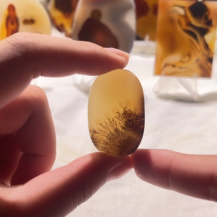 玛瑙/玉髓合金颈饰