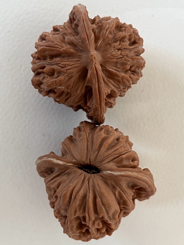 文玩核桃手把件四座楼官帽虎头鸡心白狮子公子帽宫灯狮子头手把件