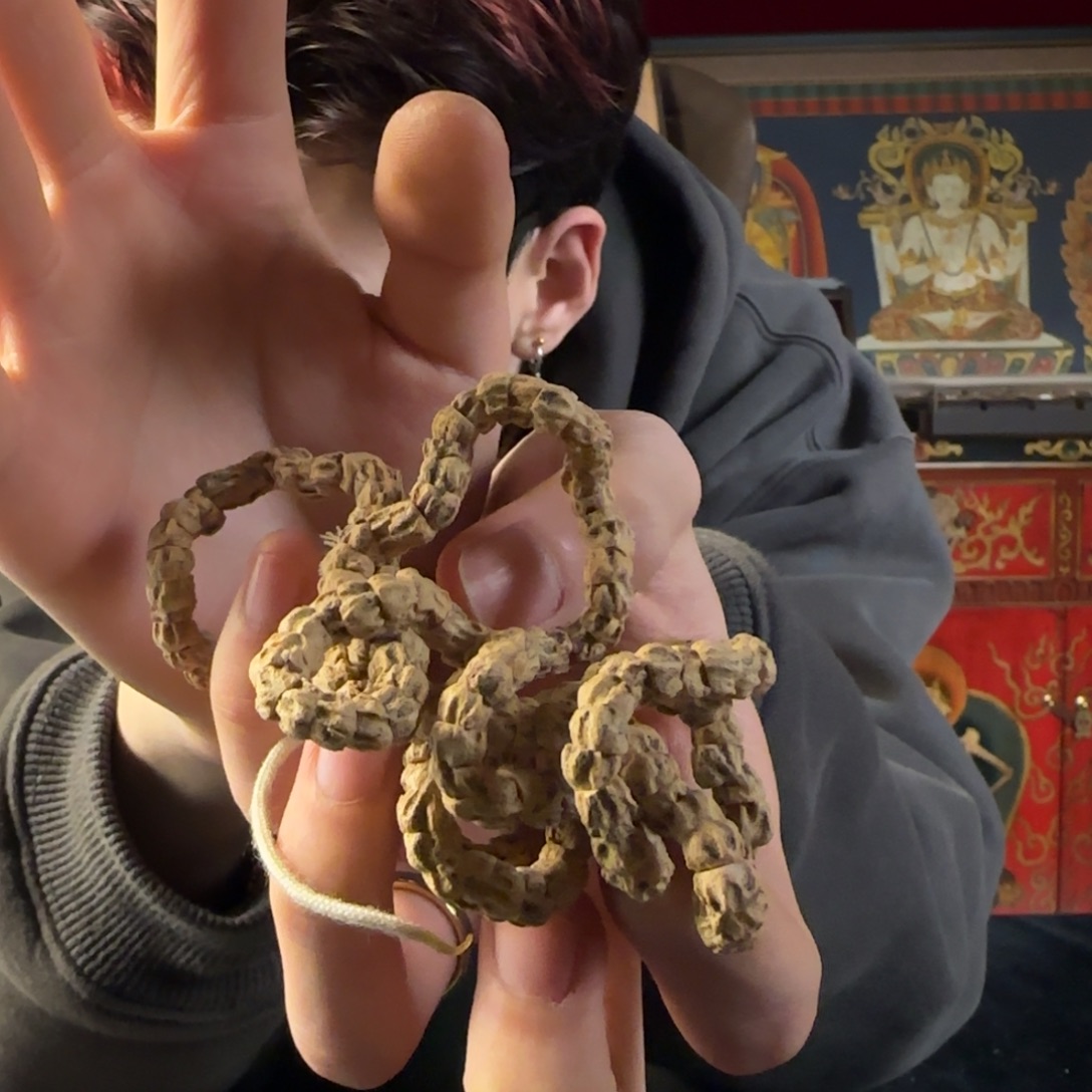 柏香籽/百香籽吊坠龙脊脏肠