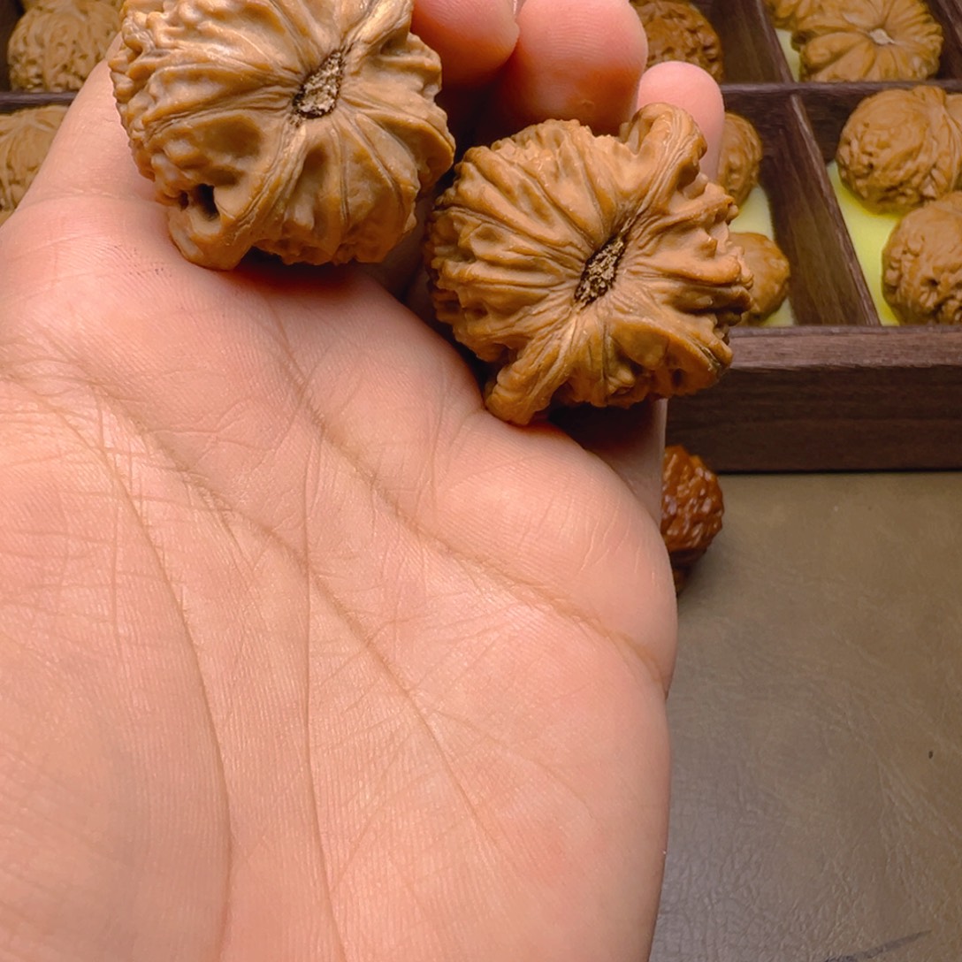 文玩核桃把件38尺球白