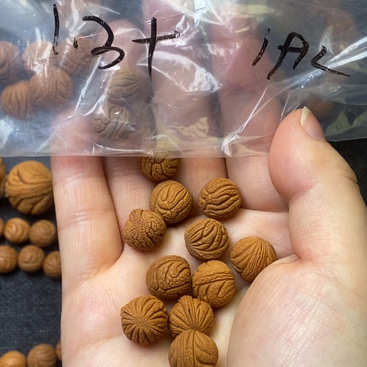 桃核吊坠秦岭山野生桃核