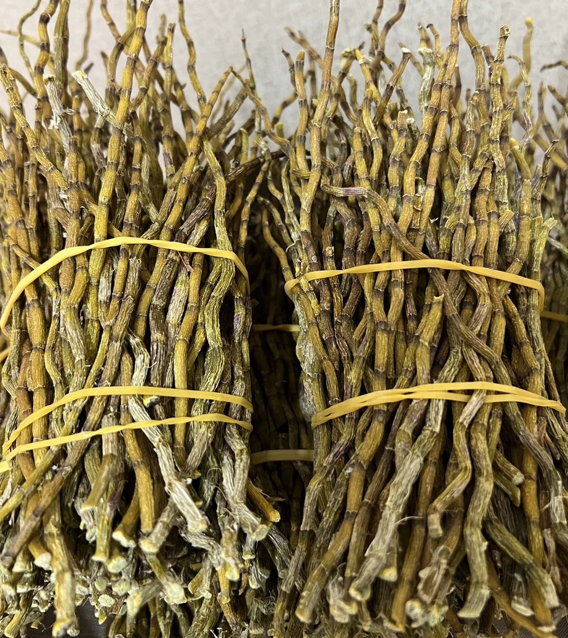  【小赵山货】云南中缅边境深山铁皮石斛干条可搭枸杞