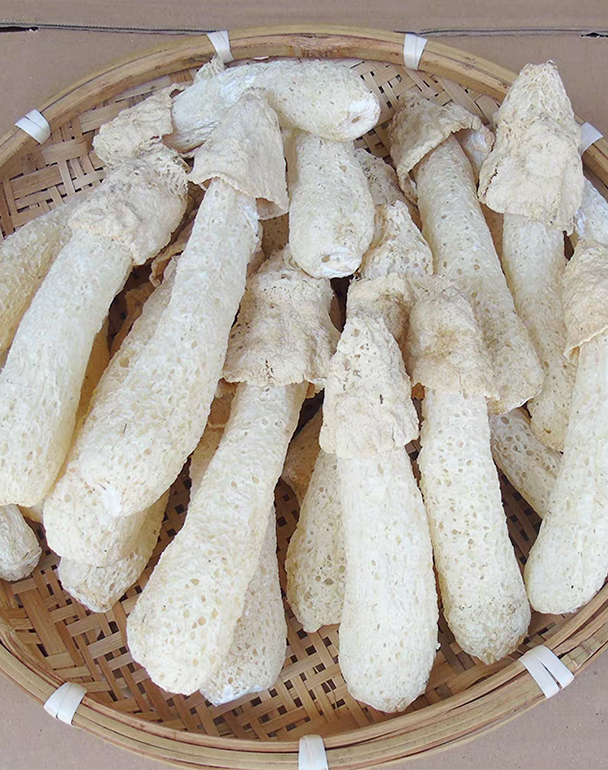 竹荪菇蕾炖汤汤包无硫农家自产干货不开伞无裙