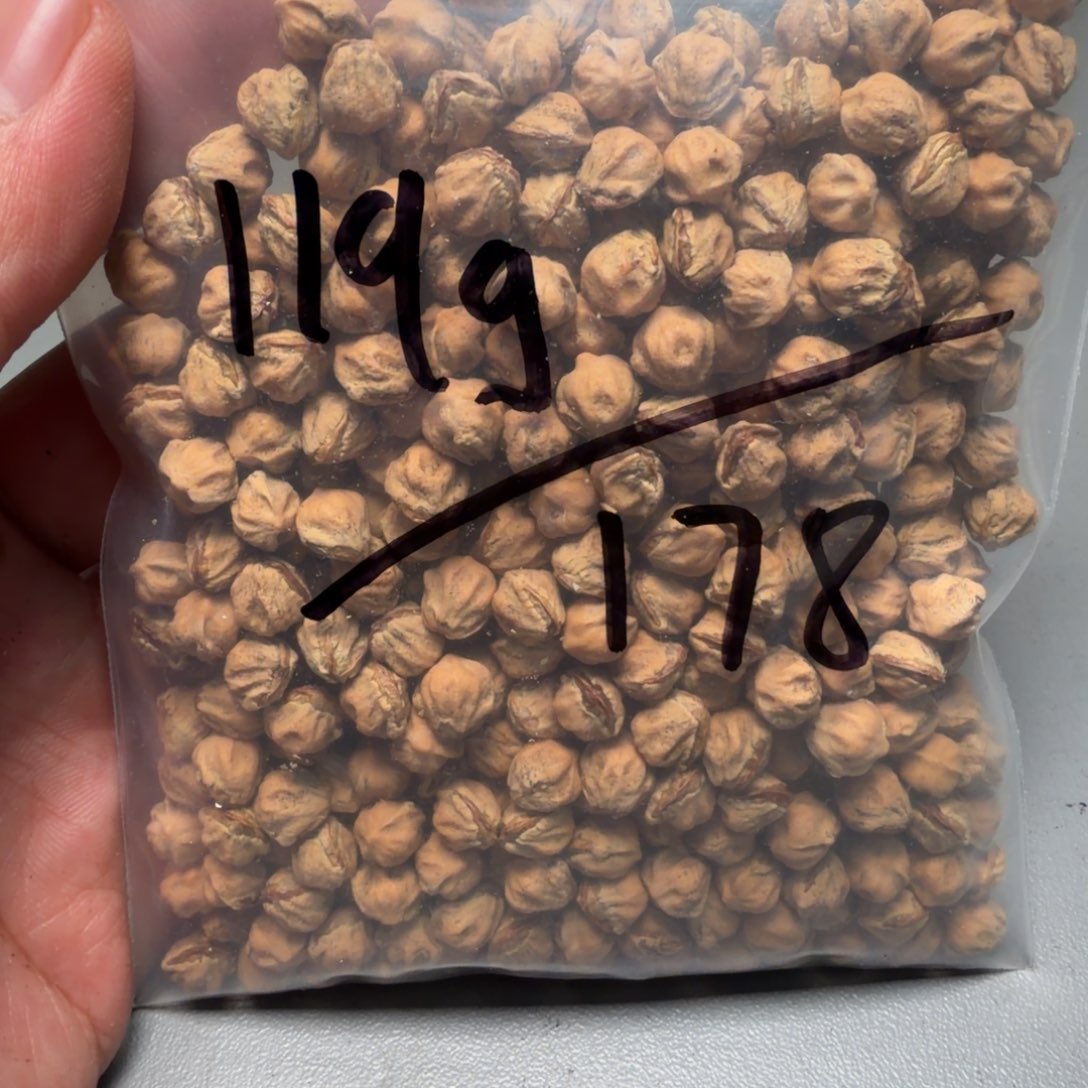 吊坠柏香籽/百香籽往****6