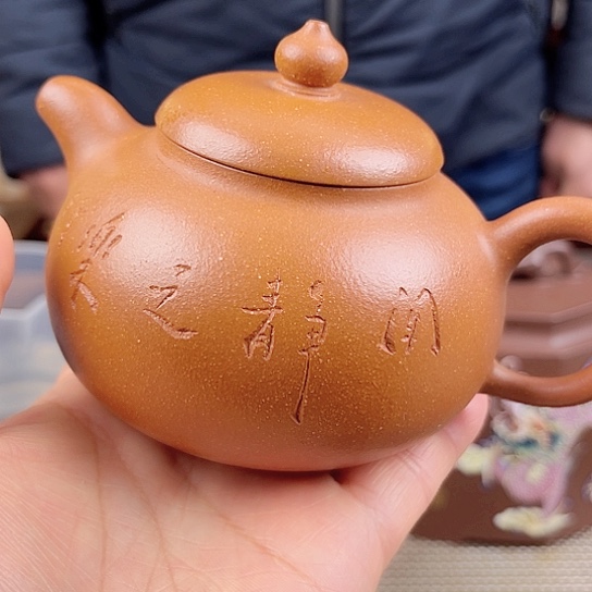 紫砂茶壶今天不知道