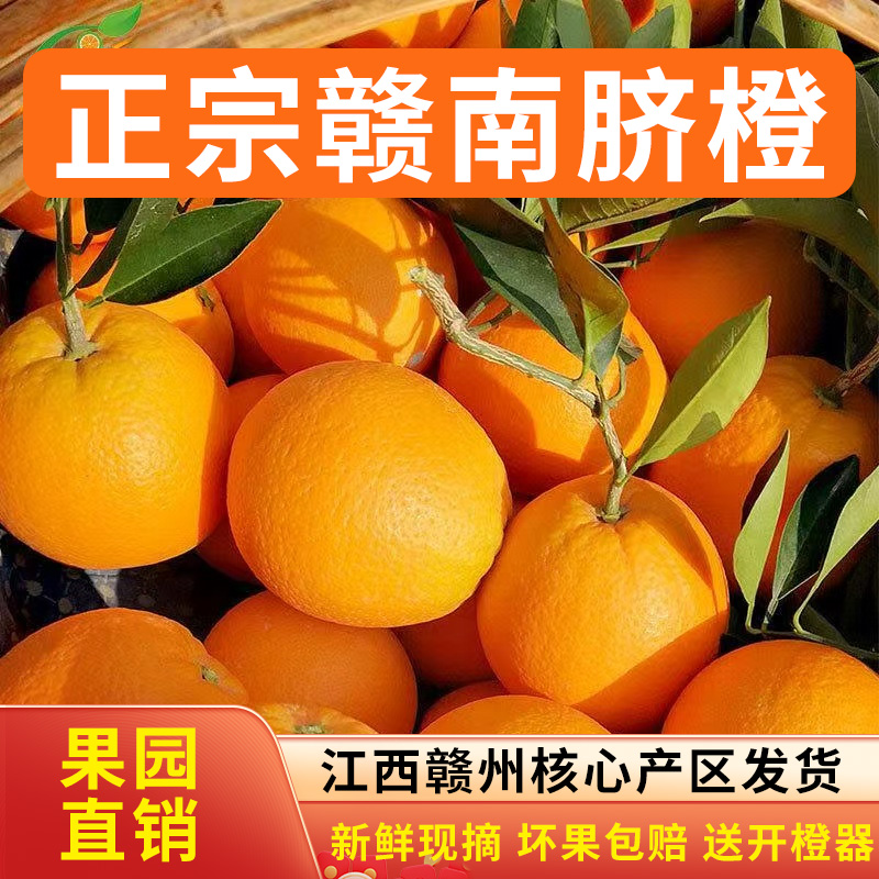 千封【当下水果】正宗江西赣南脐橙新鲜现摘水果产地直发鲜嫩多汁