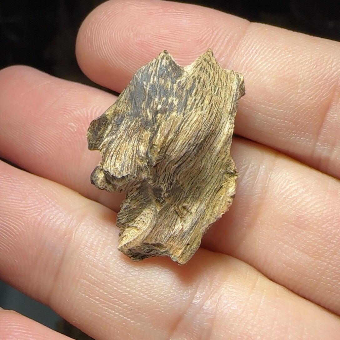 沉香碎屑沉香虎斑棋