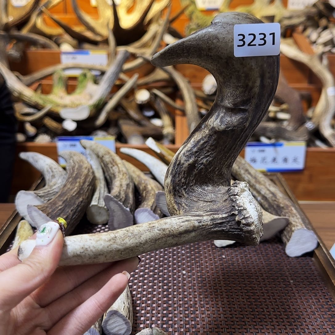 手串/手链鹿骨怪角3231