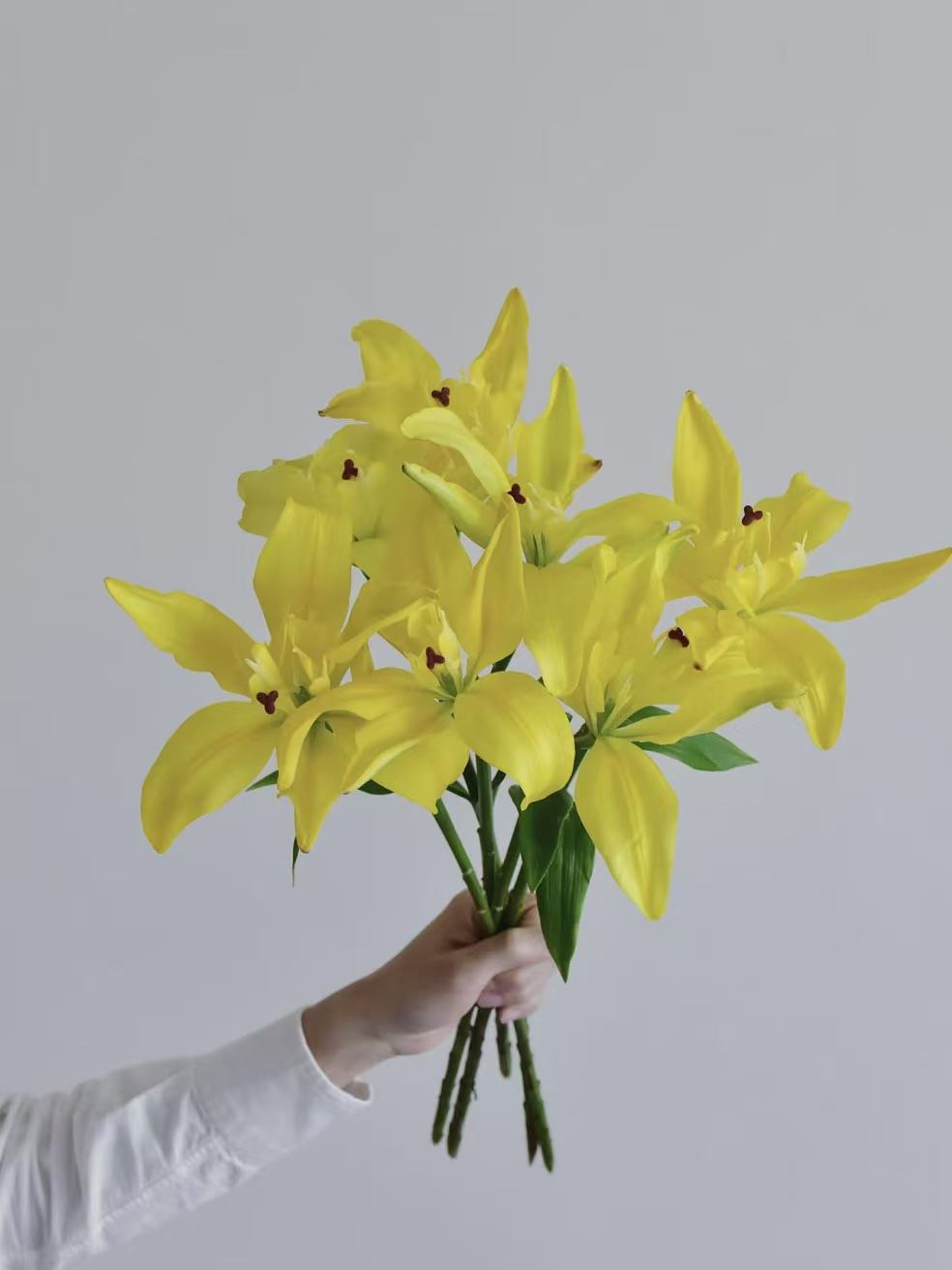 多头【蝴蝶女神】亚百合/花期花卉长#稀有#云南基地直发