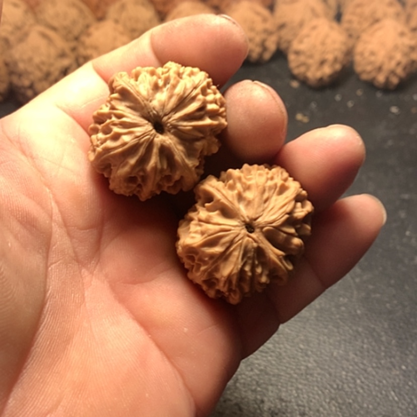 【闪购商品】z*z龙眼